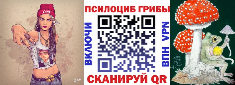Купить  Саки  Псилоцибиновые грибы GOLDEN TEACHER 